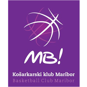 https://img.hqigong.com/img/basketball/team/7aea518b9991046c18ae5fa59893b5c8.png